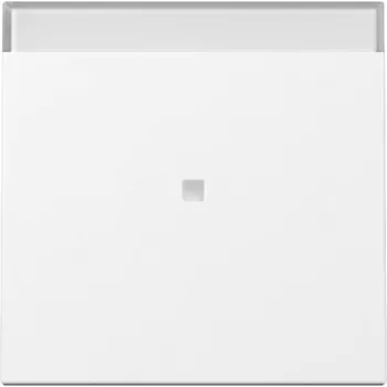 GIRA System 55 Tecla con ventana de control y símbolo BSF, blanco puro satinado 367003
