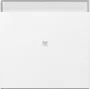 GIRA System 55 Tecla con ventana de control y símbolo BSF, blanco puro satinado 367003