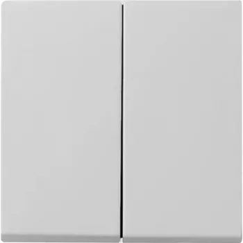 Gira System 55 Tapa de interruptor de 2 teclas, gris 0295015