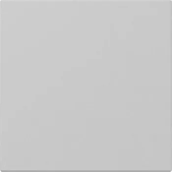 Gira System 55 Tecla embellecedora recta gris mate 3496015