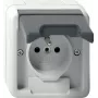 GIRA 448530 toma de corriente schuko con tapa abatible, blanco puro brillante