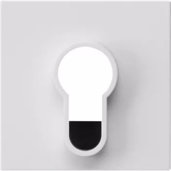 Gira tapa para interruptor de llave, System 55, blanco puro brillante, 55 x 55 mm 866403