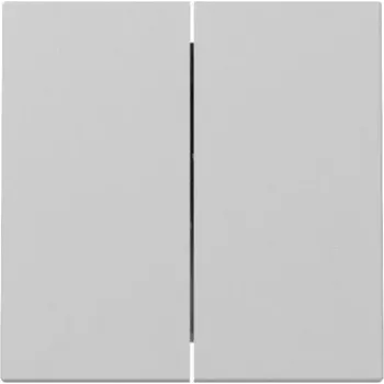 Gira System 55 Tecla 2 elementos gris mate 3295015