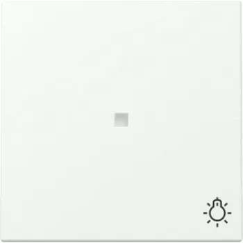 GIRA tecla con función de control y símbolo de luz, System 55, blanco mate (367427)