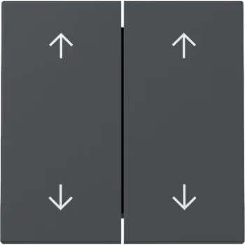 GIRA Tecla 329728 Flechas de 2 direcciones System 55 antracita