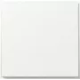 Gira TX44 Tapa de interruptor basculante, recta, blanco puro satinado 349666