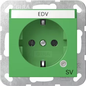 Gira Toma SCHUKO con luz de control y protección infantil, blanco puro brillante (System 55) 4452107