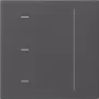 Gira System 3000 elemento de control táctil, antracita 536528