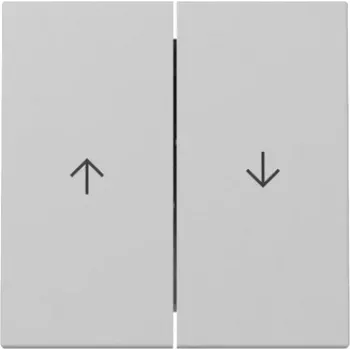 GIRA tecla 3294015 2 canales flecha System 55 gris mate