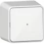 GIRA Interruptor basculante 311613 con función de control, conmutador, superficie, blanco puro