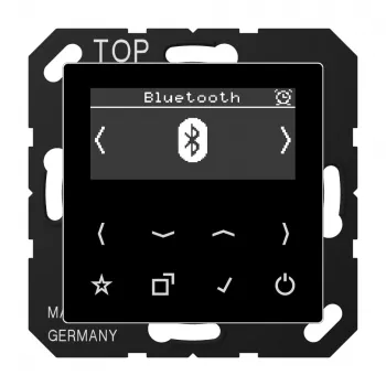 JUNG DABABTSW Radio inteligente DAB+ con Bluetooth