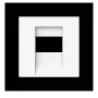 Busch-Jaeger future linear Placa central 1766-44M para toma TAE, blanco alpino 2CKA001710A4163