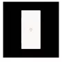 Busch-Jaeger future linear doble tecla con símbolo de luz, derecha, blanco estudio mate 2CKA006220A0953