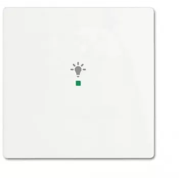 Busch-Jaeger Tecla Studio blanco mate 6220-0-0482