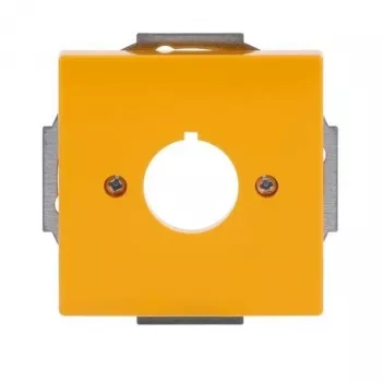 Busch-Jaeger future® linear placa central tapa, amarilla, 1 elemento, para mecanismos de tecla 2CKA001724A4382