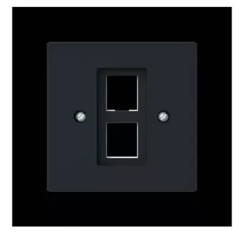 Busch-Jaeger placa central con anillo de soporte Modular Jack 2561-02-45M 2CKA001753A9929