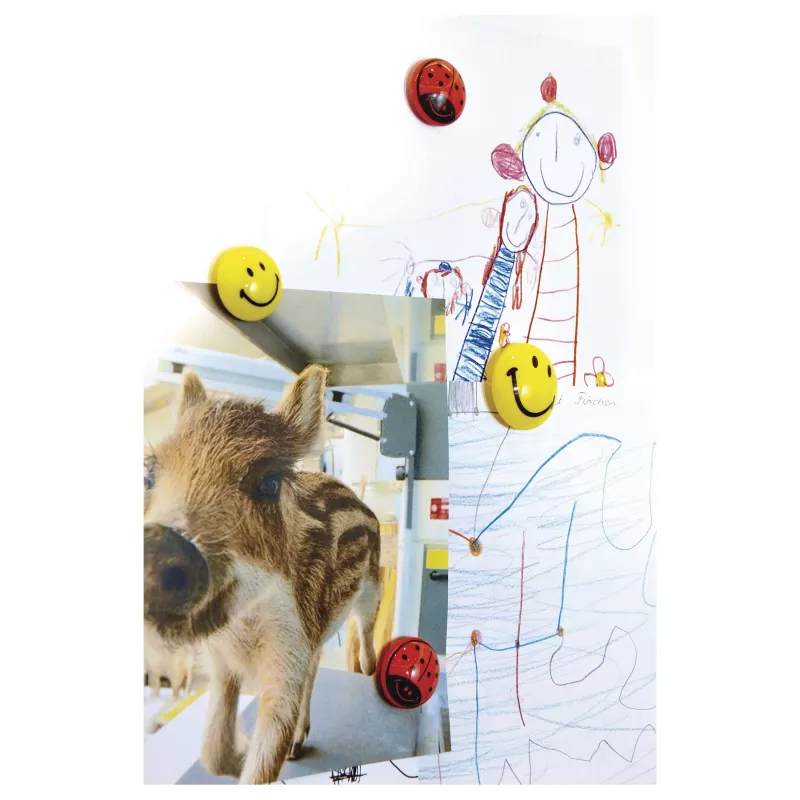 Magnetoplan 16672 Imanes para pizarra Smiley Ø 30 mm, 6 piezas