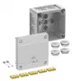 Spelsberg Abox Pro 040-2,5² IP66 Caja de derivación, 5 polos, gris 40243001