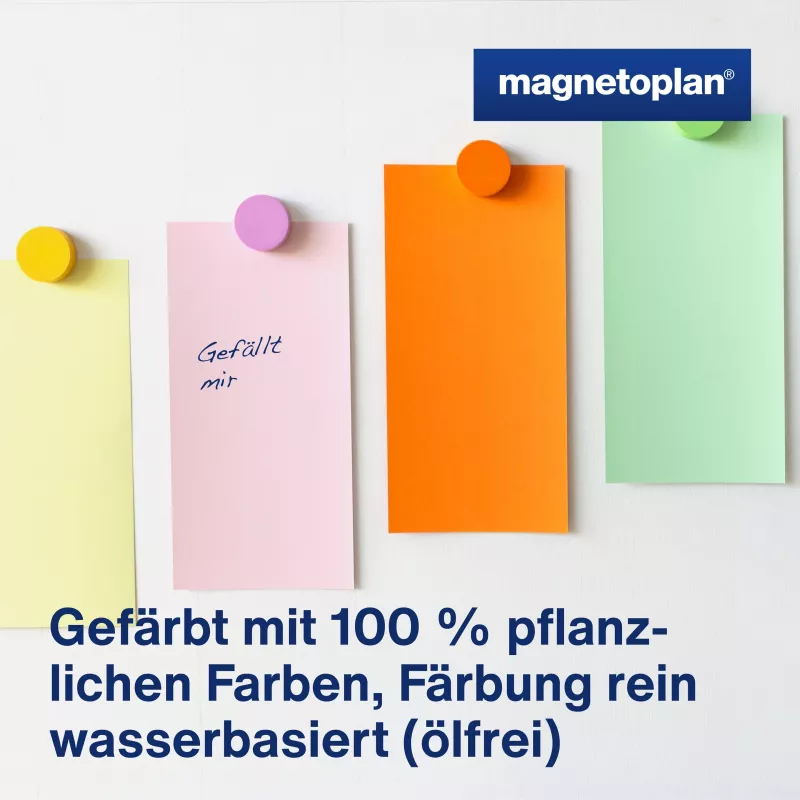 MAGNETOPLAN HOLTZ tarjetas de comunicación rectangulares 200 x 100 mm colores surtidos (rosa, verde, amarillo, blanco, azul, naranja) - 250 tarjetas 112501510