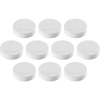 Magnetoplan Ergo-Magnete Medium imán de ferrita blanco, 30 mm, 1 ud. 1664000