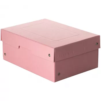FALKEN PURE caja de almacenamiento de documentos 1250 hojas rosa pastel 18,0 x 25,0 x 10,0 cm, 1 ud. 22001896000F