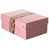 FALKEN PURE caja de almacenamiento de documentos 1250 hojas rosa pastel 18,0 x 25,0 x 10,0 cm, 1 ud. 22001896000F