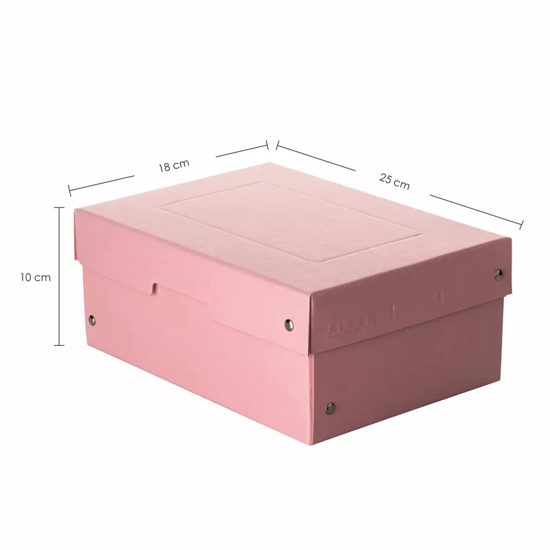 FALKEN PURE caja de almacenamiento de documentos 1250 hojas rosa pastel 18,0 x 25,0 x 10,0 cm, 1 ud. 22001896000F