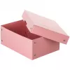 FALKEN PURE caja de almacenamiento de documentos 1250 hojas rosa pastel 18,0 x 25,0 x 10,0 cm, 1 ud. 22001896000F