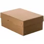 FALKEN PURE caja de almacenamiento 4,5 l marrón 18,0 x 25,0 x 10,0 cm, 1 ud. (22001816000F)