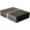 FALKEN PURE caja de almacenamiento 14,0 L negra 32 x 44 x 10 cm (1 ud.) 22001688000F