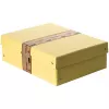 FALKEN PURE caja de almacenamiento de documentos 1250 hojas amarillo pastel 24,0 x 32,0 x 10,0 cm, 1 ud. 22001936000F