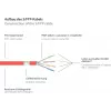 GoodConnections 8070VR-100R Cat.7 S/FTP RJ45 alargador de cable de red, PiMF, libre de halógenos, 600 MHz, OFC, protección de pestaña RNS, 10 m, rojo