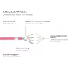 GoodConnections 8070R-400M Cat.7 S/FTP RJ45 cable de red, PiMF, libre de halógenos, 600 MHz, OFC, protección de pestaña RNS, 40 m, magenta