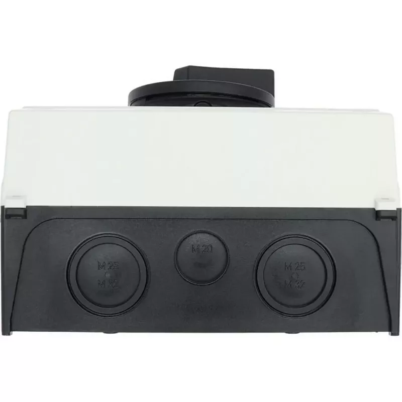 Eaton P3-63/I4/SVB-SW interruptor principal de 3 polos 63 A 207344