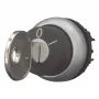 Eaton M22-WRS-MS2 interruptor de llave, negro/titanio 111778