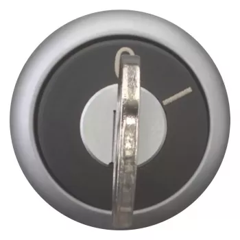 Eaton M22-WRS-MS2 selector de llave, 2 posiciones, enclavado, anillo frontal titanio, llave MS2, montaje 22,5 mm 111778