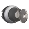 Eaton M22-WRS-MS2 interruptor de llave, negro/titanio 111778