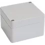 Bopla EUROMAS T 206 63206000 caja universal, 65 x 50 x 37 mm, ABS, gris claro