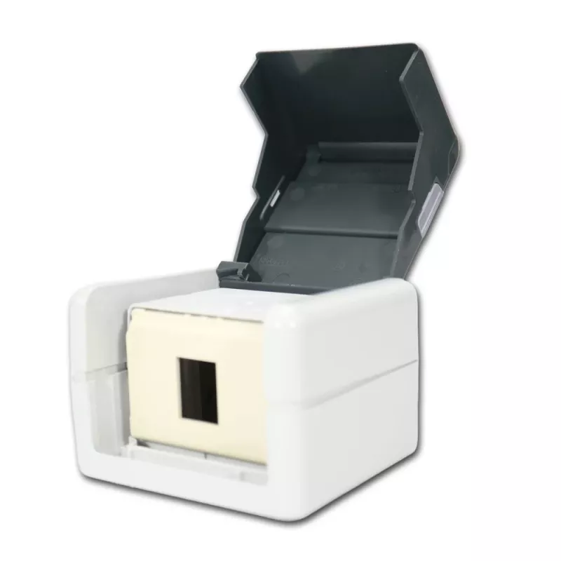 TELEGÄRTNER H02000A0069 AMJ-S K Cat.6A toma de datos RJ45 apantallada de 2 puertos, gris claro/blanco