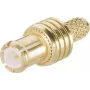 TELEGÄRTNER Conector recto MCX 50 Ohm crimpado/soldadura para RG174/RG188/RG316