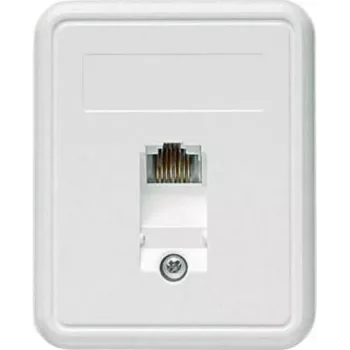 TELEGÄRTNER Toma RJ45 de superficie 1xRJ45 sin apantallar, Cat. 5e (A0174)