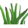 EUROPALMS Planta artificial de aloe vera en maceta negra, 63cm 82809112