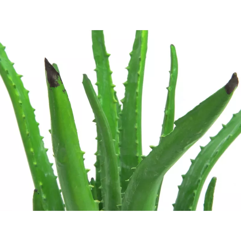 EUROPALMS Planta artificial de aloe vera en maceta negra, 63cm 82809112