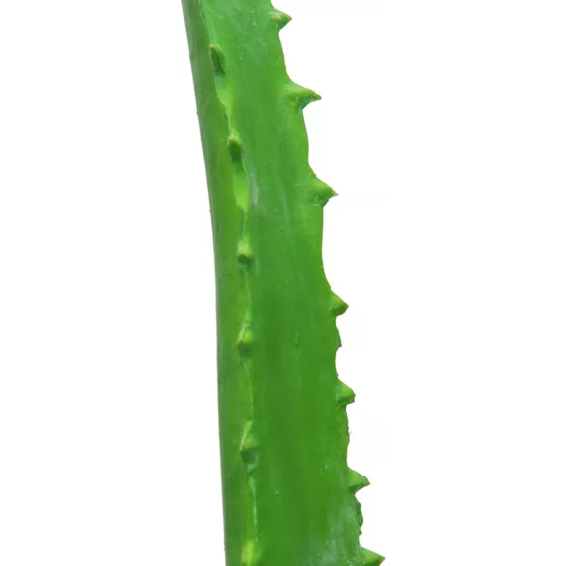 EUROPALMS Planta artificial de aloe vera en maceta negra, 63cm 82809112