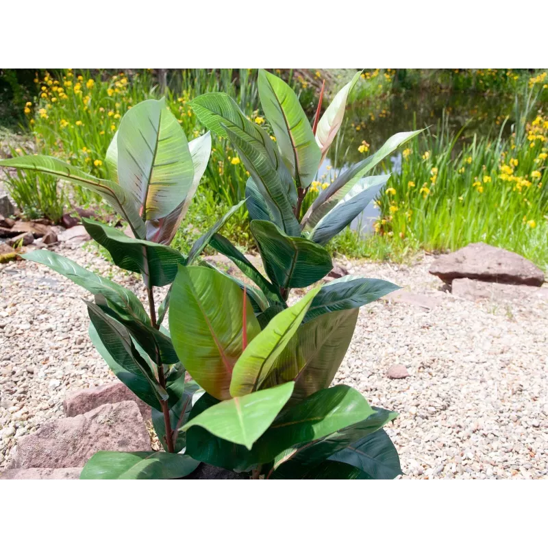 EUROPALMS planta de goma artificial 100 cm, Ficus elastica realista, en maceta de plástico negra 82508303