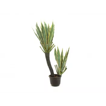 EUROPALMS cactus orquídea planta artificial, 160 cm 82809035