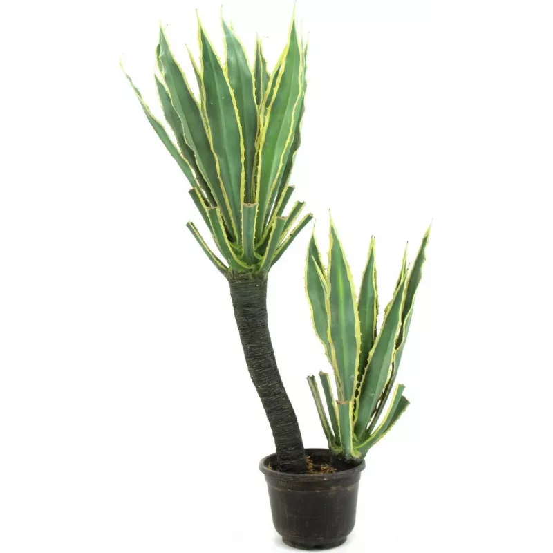 EUROPALMS cactus orquídea planta artificial, 160 cm 82809035