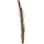 EUROPALMS hierba de caña artificial con espigas, marrón claro, 152 cm 82505856