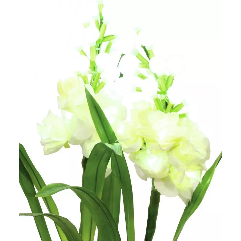 EUROPALMS Aronstab, set de 3 con LED, blanco, 85 cm (83330302)