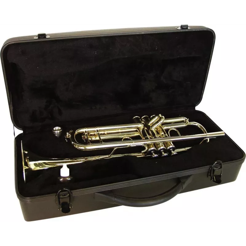 DIMAVERY TP-20 Trompeta en si bemol, laca dorada 26503150